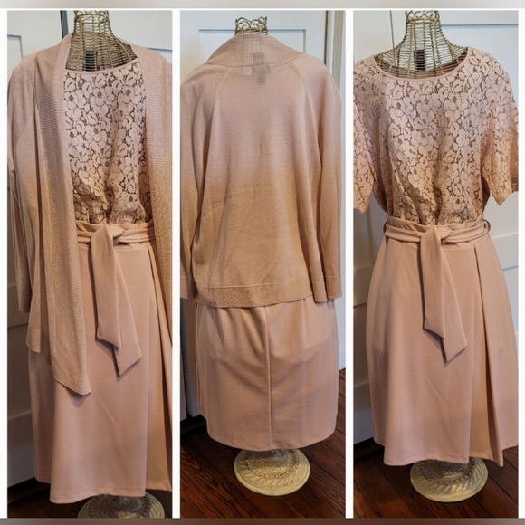 Worthington (JC Penney) Blush Pink Skirt Size 10P - Picture 3 of 3